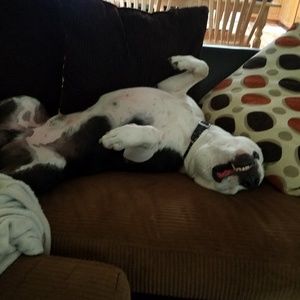 Meet your Posher, Nathan